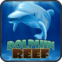 Dolphin Reef